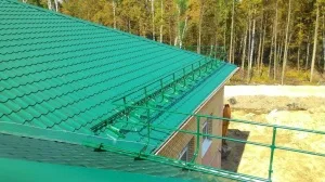 Ограждение кровельное BORGE H-120 см, 3 м, темно-зеленый (RR 11)